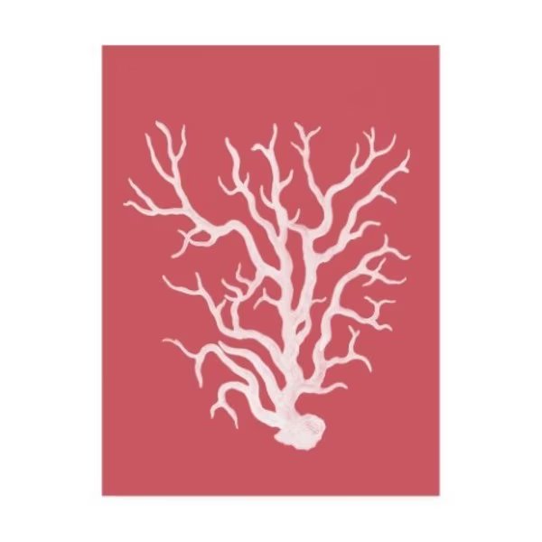 Fab Funky 'Corals White On Coral A' Canvas Art, 14x19, Trademark Fine Art, Mfr#: WAG12605-C1419GG